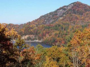 165 Lake Forest Dr, Tuckasegee, NC 28783