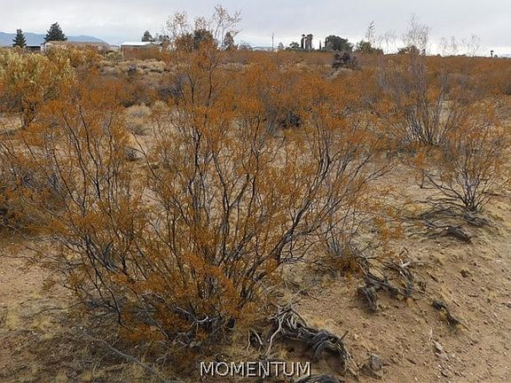 4th image of 339-15-012 N Horse Mesa Road