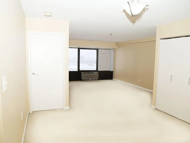 1001 W Jefferson Ave #300/16F — Photo 9