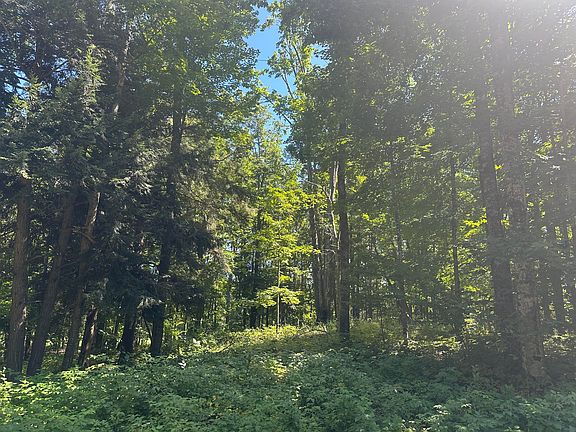 5th image of 863 Aronimink Dr