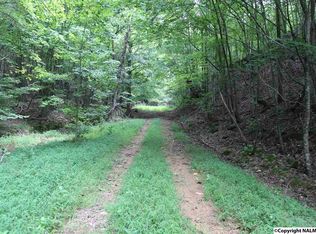 12001 Us Highway 11, Collinsville, AL 35961