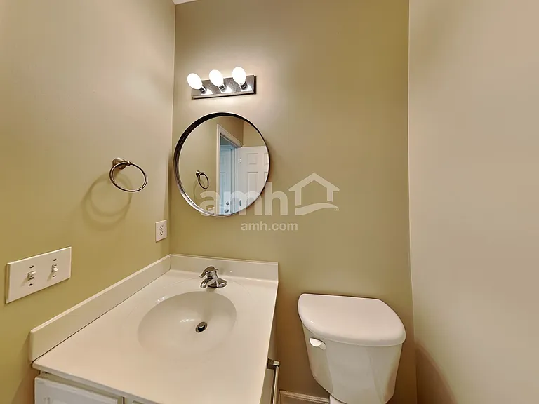 741 Lilly Landing Ln — Photo 7