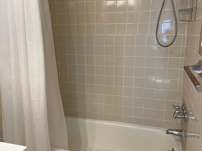 830 Jackson Ave #1B — Photo 11