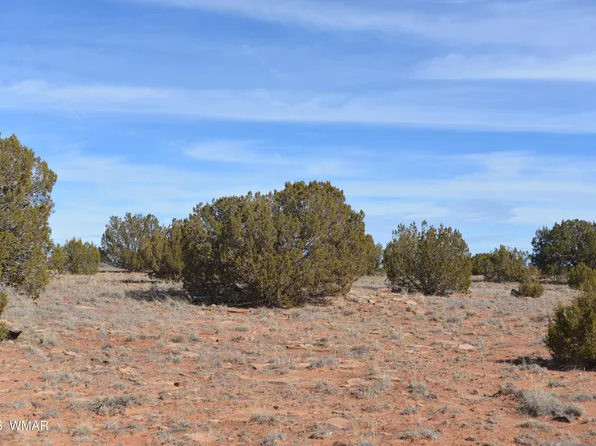 3988 Antelope Ridge Rd, Snowflake, AZ 85937