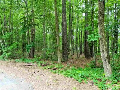 142 Hatchet Cv, Louisburg, NC, 27549