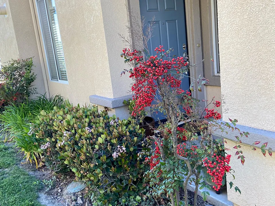 24386 Ramada Ct