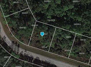 1566 Marlin Dr, Poinciana, FL 34759