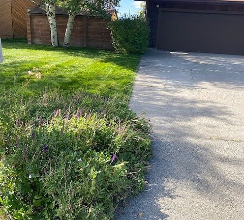 2nd image of 626 Meadowlark Ln
