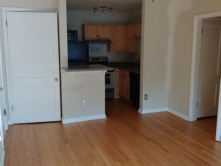 Living room towards kitchen. HUGE deep closet (a bike could fit)