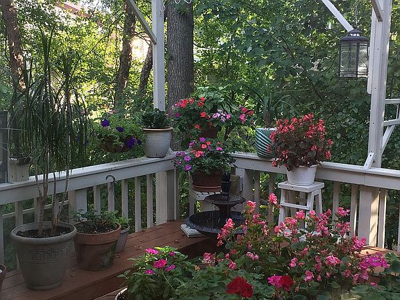 Deck in summer time....