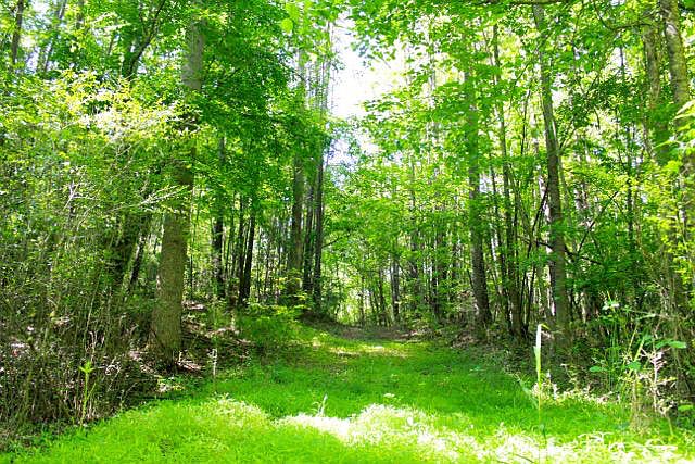 1st image of Tbd Cranes Creek Road LOT 2B