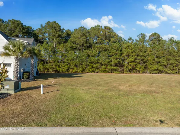 193 Twining Rose Lane, Holly Ridge, NC 28445