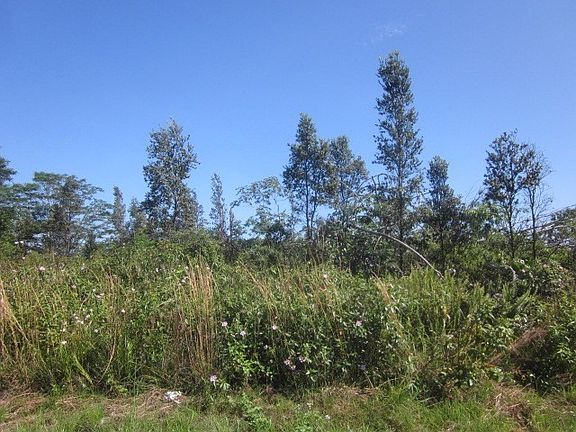 2nd image of 8th Ave Lot 1064