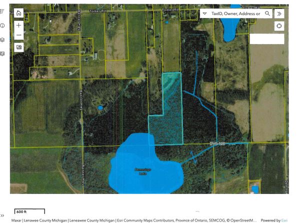 6000 Tomer Rd, Clayton, MI 49235