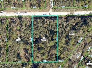 Coral Rock Dr LOT 2, Webster, FL 33597