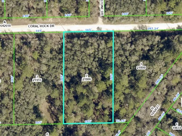 Coral Rock Dr Lot 2, Webster, FL 33597