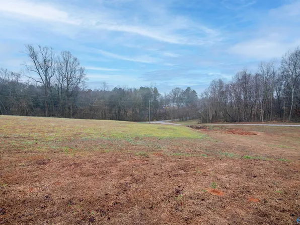 2 Witty Mill Rd, Elkmont, AL 35620