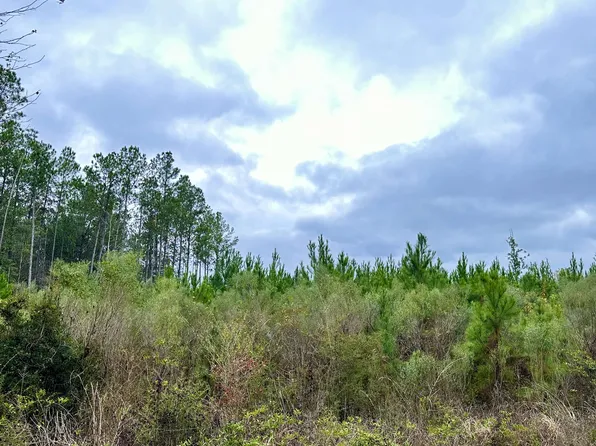 TRACT 6411 E Open Creek Rd, Chipley, FL 32428
