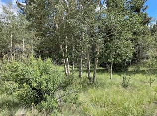 102 Kiwi Rd, Como, CO 80432