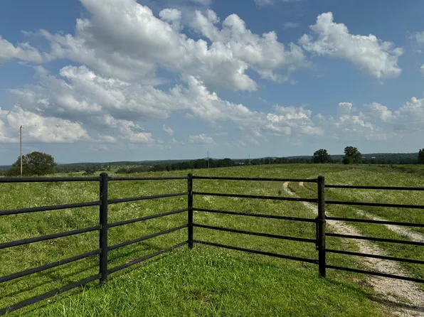 000 Near Se Corner Of Hwys 95 & 76, Vanzant, MO 65768