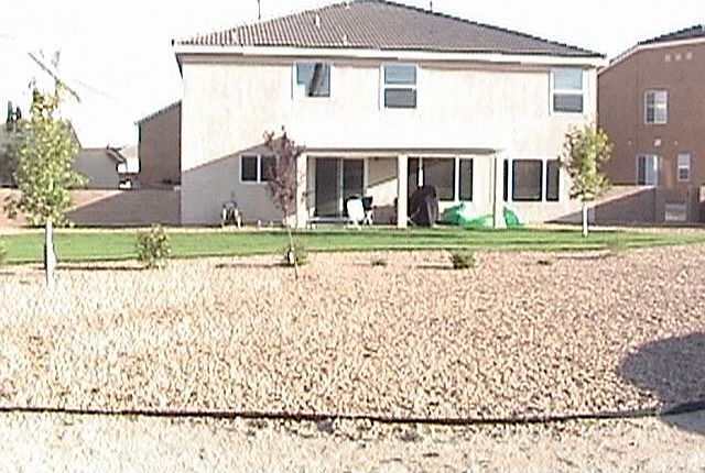 Backyard #1