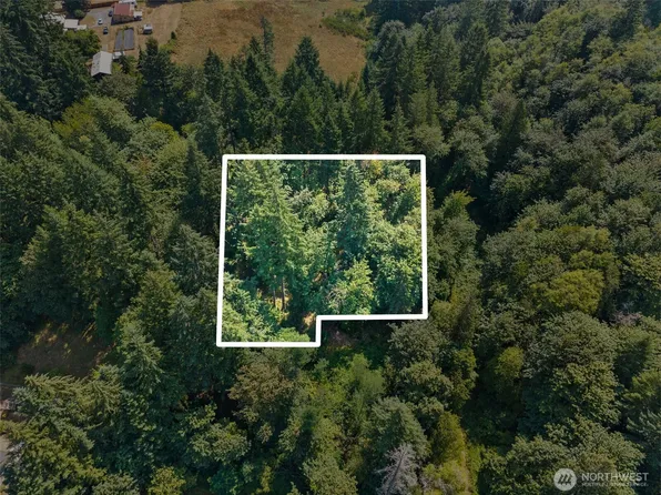 0 SE Ash Lot 1 Street, Winlock, WA 98596