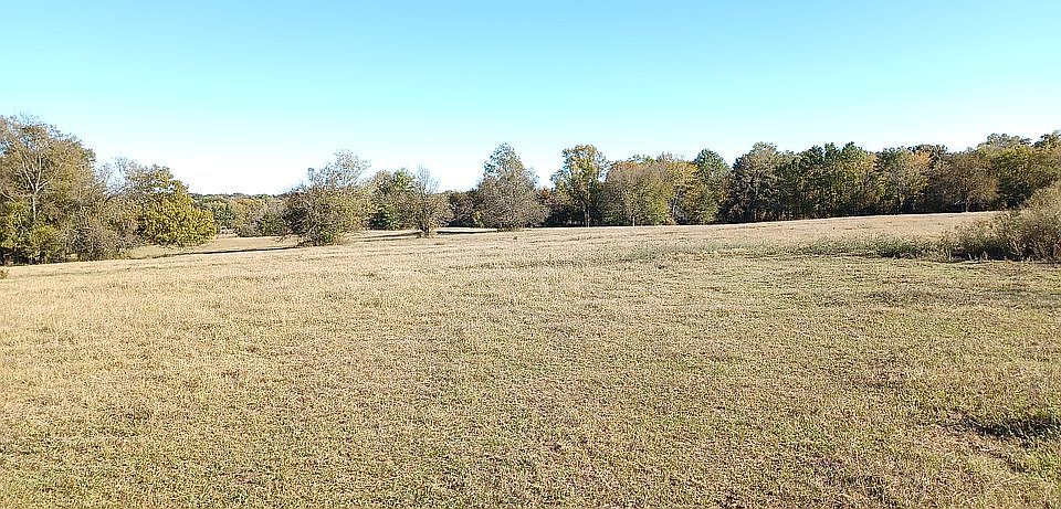 2nd image of 1967 Ruffed Grouse Rd