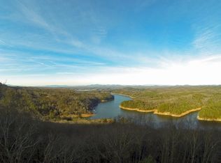 L-133 Necowa Cove Overlook, Blue Ridge, GA 30513