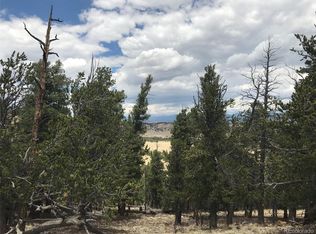 697 Summit Rd, Hartsel, CO 80449