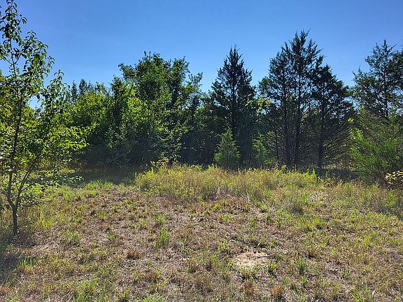 3rd image of 0 Caldwell Ln