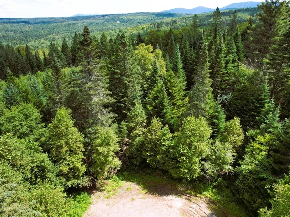 Lot  59 Left Branch of Summit Road, Sandy River Plt, ME 04970