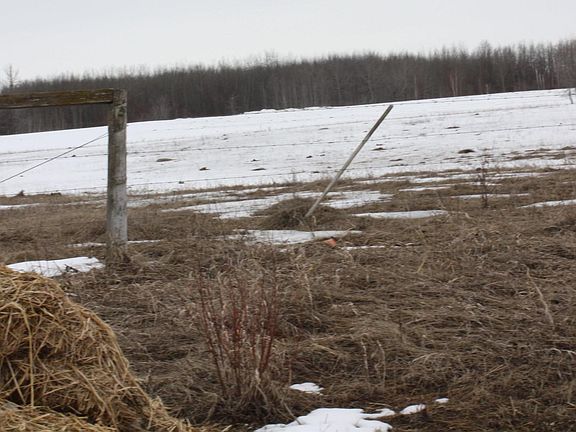 2nd image of Township 655 Rr185 Rural