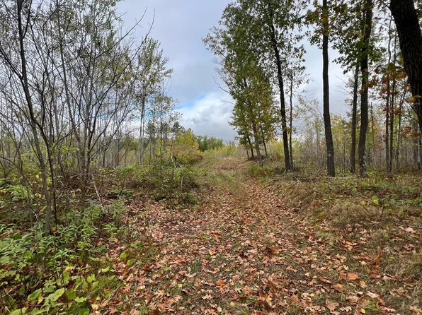 73843 Markville Rd, Sandstone, MN 55072