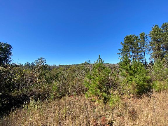 3rd image of 0 Highway 219