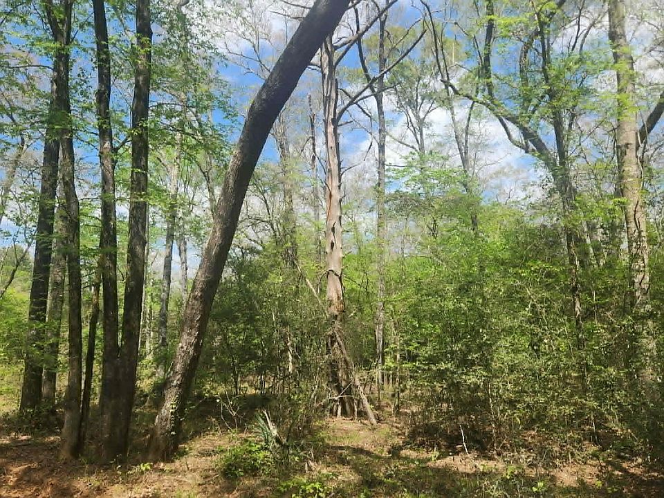 1st image of Tbd Baker Bridge Rd