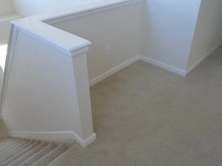 3315 Youngheart Way — Photo 11