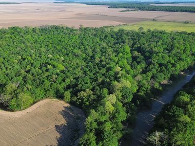 County Road 523, Schlater, MS, 38952