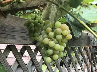 9112 Fruit Hill Ln, Wake Forest, NC 27587