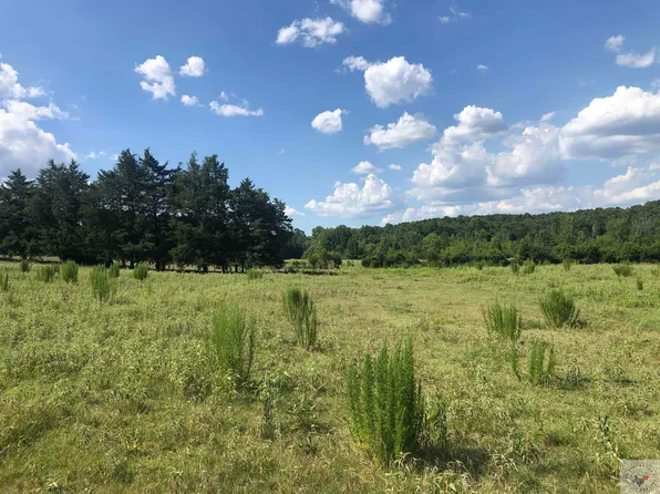 Hickey Rd, Hallsville, TX 75650