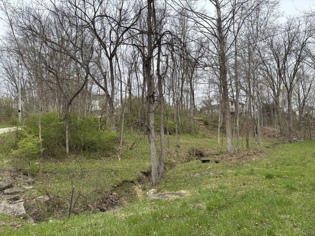 Real estate listing image