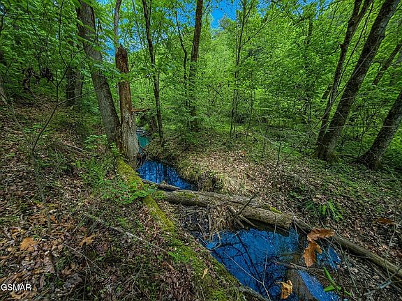5th image of 44 Cedarwood Cir Lot 40