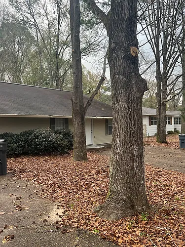 16 Johnnie McMurry Rd Photo 1