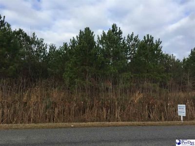 Tbd Timmons Rd, Timmonsville, SC, 29161