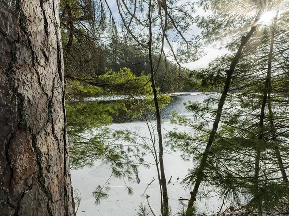 LOT 4 Dam Rd, Three Lakes, WI 54562