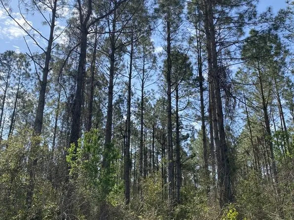 NW 120th St, Chiefland, FL 32626