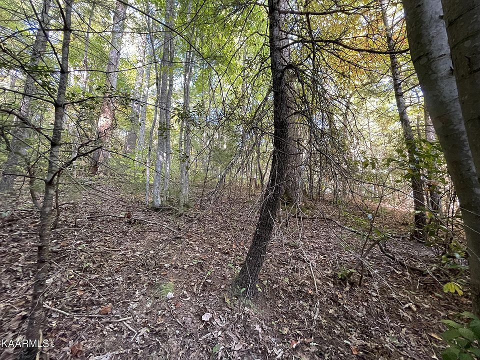 1st image of 0 Joy Way Lot 45