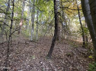 0 Joy Way LOT 45, Hartford, TN 37753
