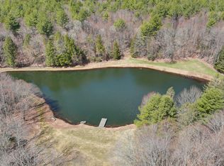 113 Nash Rd, Cummington, MA 01026