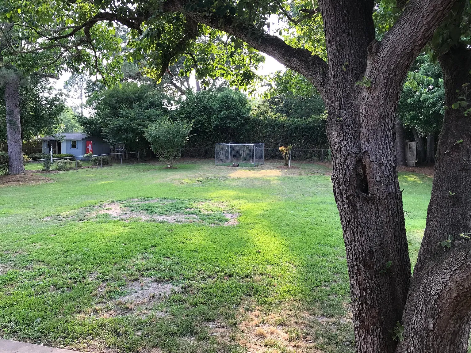 848 Bay Blossom Ave — Photo 4