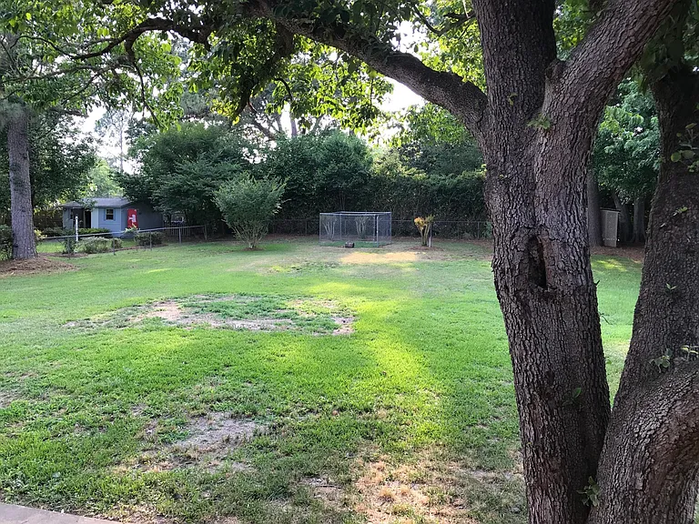 848 Bay Blossom Ave — Photo 12